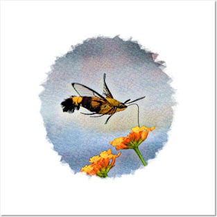 Hummingbird Hawk Moth Posters and Art